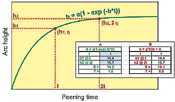 estimator